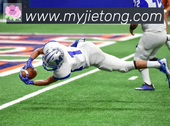 乐语网页版登录入口服务体系