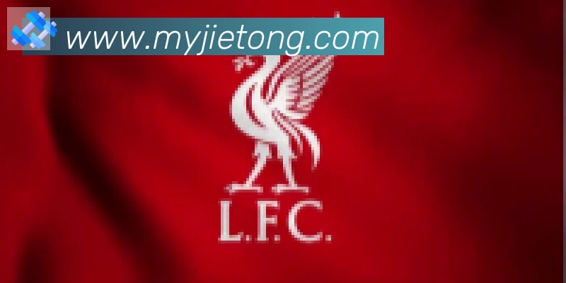 乐语网页版登录入口合作伙伴